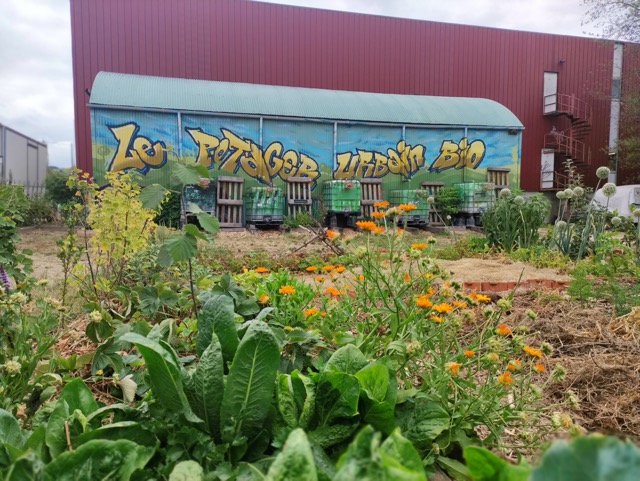 potager bio