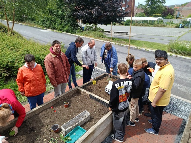Potager inclusif Mouscron